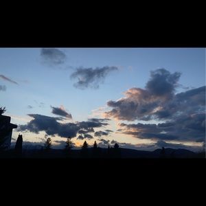 Meet your Posher, Stevie